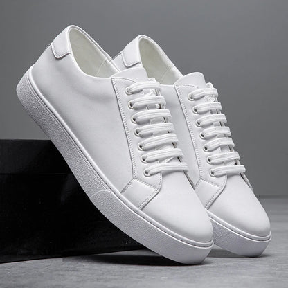 Bellini | Baskets en Cuir Italien