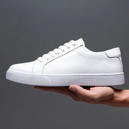 Bellini | Baskets en Cuir Italien